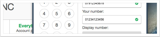 Enter the landline or mobile number you want to call from