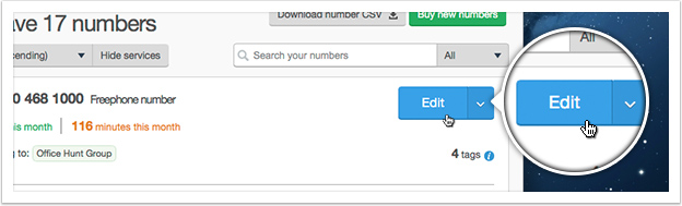 Click the 'Edit' button