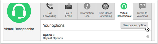 Click the 'Remove an option' button