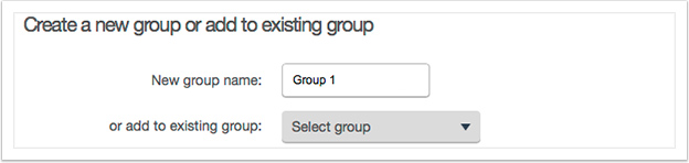 Either enter a new group name or select an existing group from the drop down
