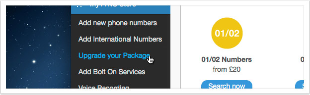Select 'Upgrade your Package' from the left hand menu