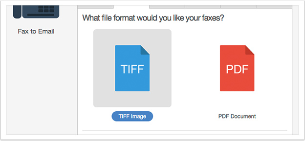 Choose the desired file format