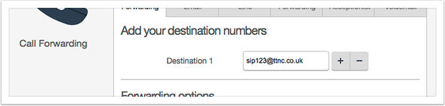 Simply type the SIP or IAX into the destination fields